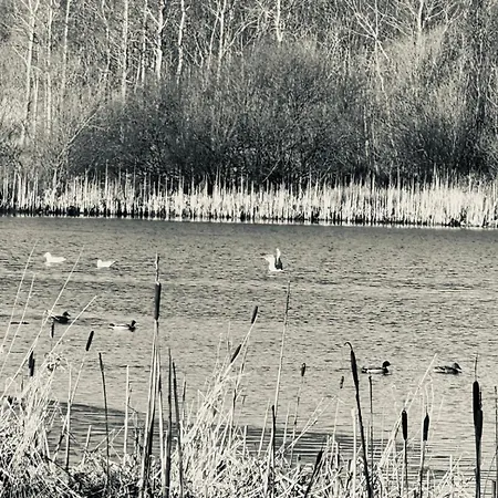 Oaktree - 3 Bedrooms - Sleeps 6 Prázdninový dům Frizington